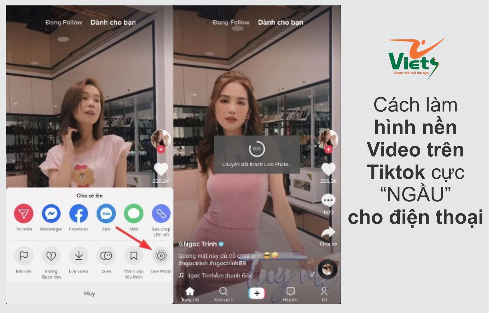 cách làm hình nền video trên tiktok - Viets Media